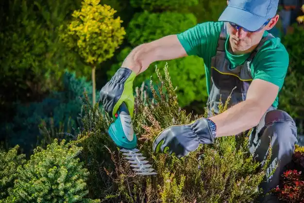 landscaping services Argentine